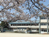 松戸市立 稔台小学校