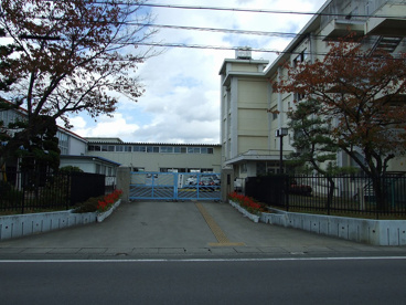葉栗小学校の画像1