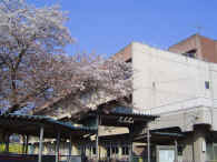蓮田市立蓮田南小学校の画像