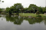 等々力緑地