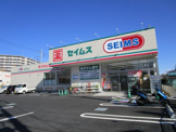 ドラッグストア セイムス 見沼新堤店