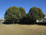 大谷公園