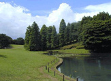 根岸森林公園
