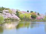 三ツ沢公園