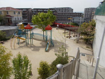 西泉丘3丁目第1公園の画像1