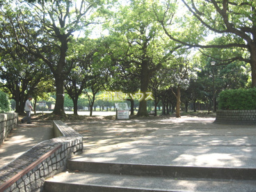 入船公園の画像2