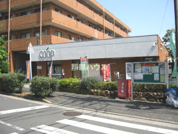 コープかながわ岸谷店の画像1