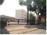 横浜市立 美しが丘小学校