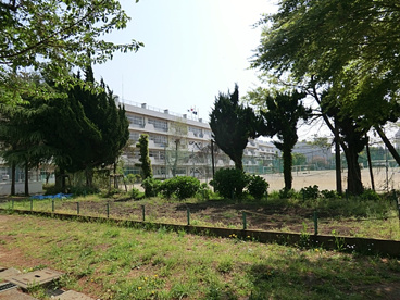 新座市立第二中学校の画像3