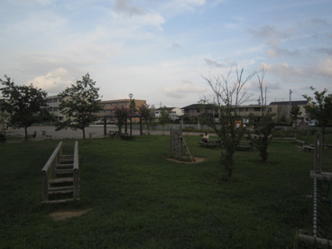 中田公園の画像4