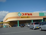 スギ薬局サンシ生桑店