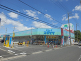 ドラッグスギヤマ久保田店