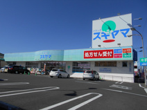 ドラッグスギヤマときわ店