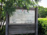 酒津公園
