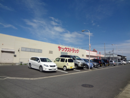 ヤックスドラッグ東金田間店