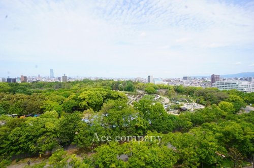 の画像