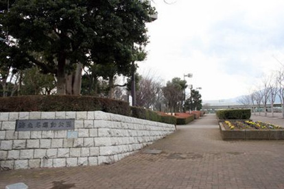 海老名運動公園の画像1