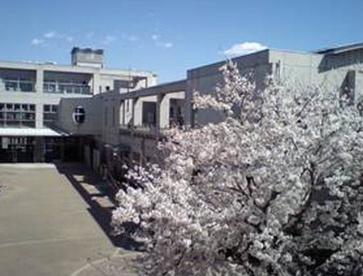 伊勢原市立 石田小学校の画像1