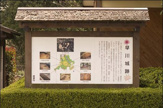 綾瀬城山公園