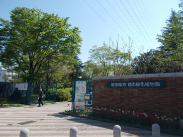 服部緑地都市緑化植物園の画像3