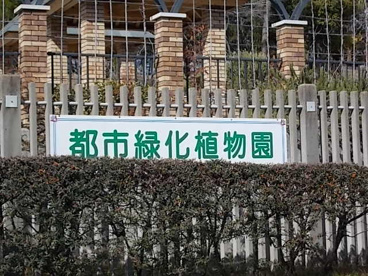 服部緑地都市緑化植物園の画像4