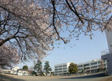 小学校 大和市立 渋谷小学校