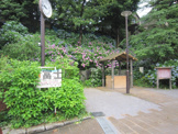 出井の泉公園