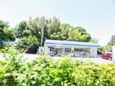 ローソン 柏の葉公園
