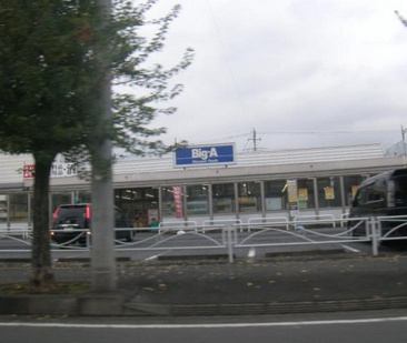 スーパー ビッグエー坂戸浅羽野店