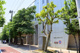 豊島区立明豊中学校の画像
