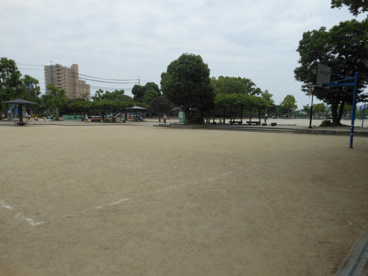 市場池公園の画像1