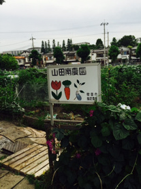 市場池公園の画像4