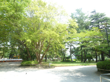 松戸中央公園の画像1