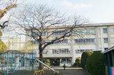 茅ヶ崎市立 小出小学校