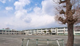 茅ヶ崎市立 松林小学校