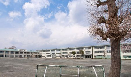 茅ヶ崎市立 松林小学校の画像1