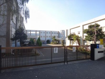茅ヶ崎市立 柳島小学校の画像1