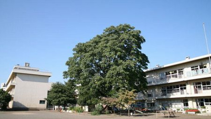 相模原市立 淵野辺小学校の画像1