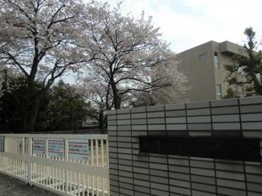 相模原市立 陽光台小学校の画像1