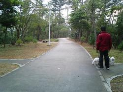 馬場都市緑地の画像1