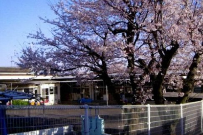 明治保育園（藤沢市）の画像1