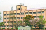 泉大津市立 楠小学校
