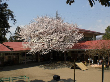 ひろさわ保育園ひろさわ保育園()の画像1