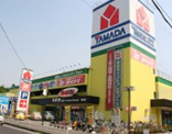 ヤマダ電機海老名店
