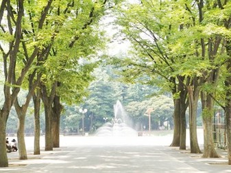 世田谷公園の画像1