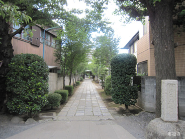 寿福寺の画像1