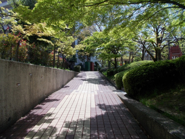 上新田4丁目公園の画像2