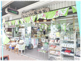 森田園