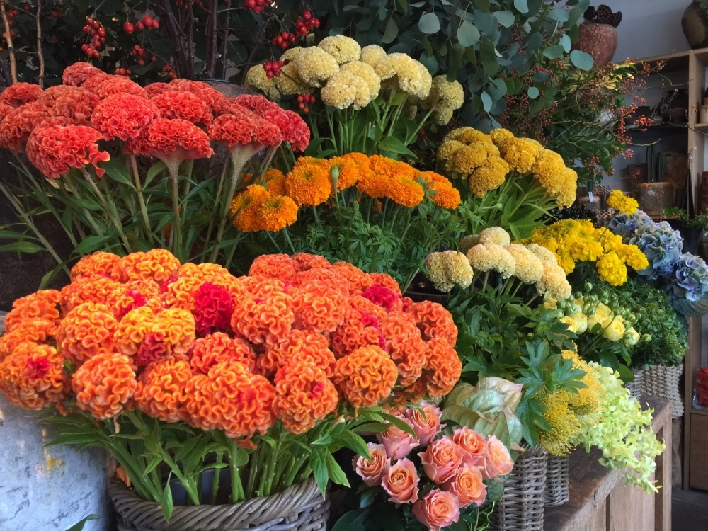 Jaque Deco情報ページ 芦屋の不動産情報は株式会社oh 不動産