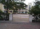 金町小学校の画像1